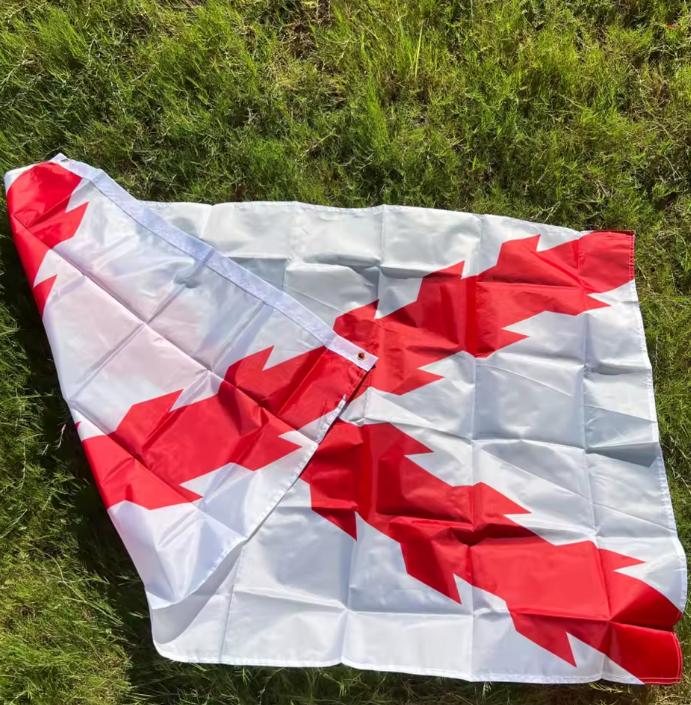 Bandera de la Cruz de Borgoña 90x150cm | La Cruz de San Andrés