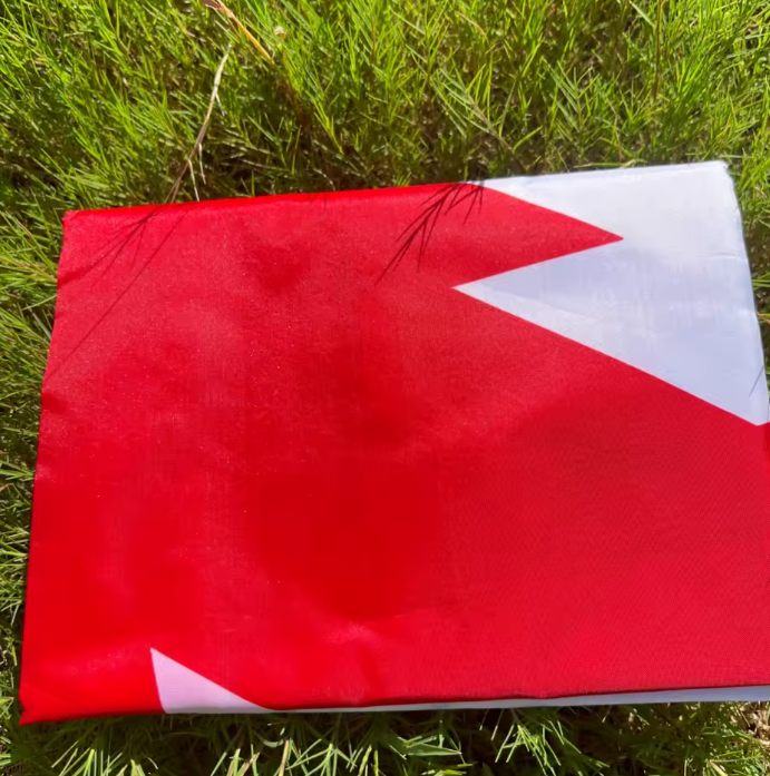Bandera de la Cruz de Borgoña 90x150cm | La Cruz de San Andrés
