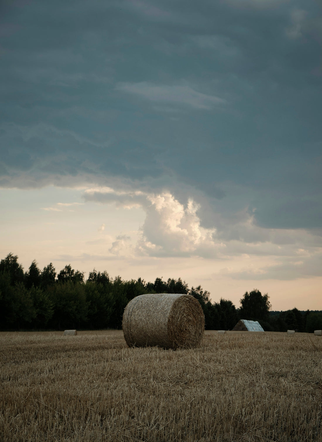 a large hay bale in a field with trees in the background