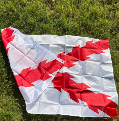Bandera de la Cruz de Borgoña 90x150cm | La Cruz de San Andrés