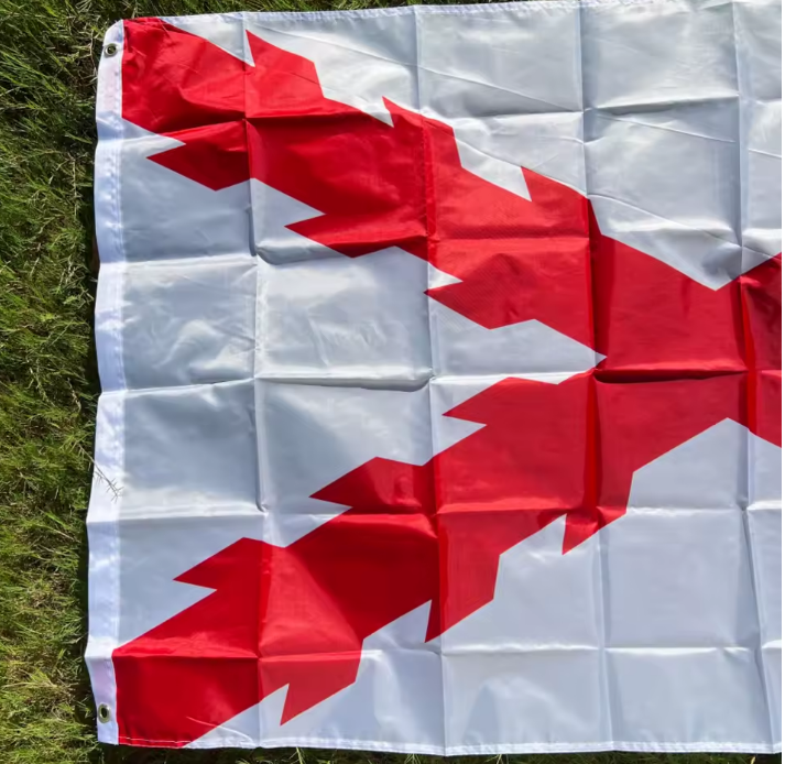 Bandera de la Cruz de Borgoña 90x150cm | La Cruz de San Andrés